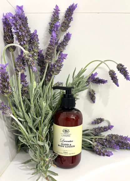 Lavender & Vetiver Hand and Body Lotion